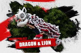 Image result for Dragon Wushu Club