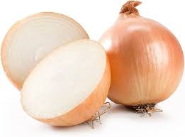 Image result for Zwiebeln