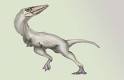 Parvicursor Dinosaur, facts, baby sounds, information, fossils ...