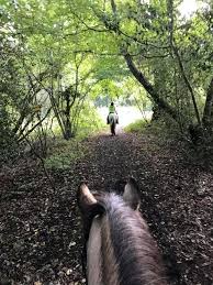 Image result for The Chobham Common Riders Association