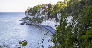 Image result for stevns klint