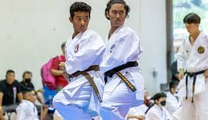 Image result for Shitokai Karate Club