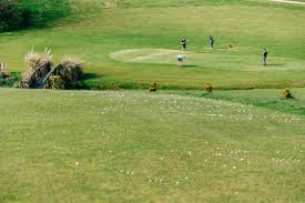 Image result for Palewell Pitch & Putt Golf Club