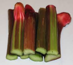 Attēlu rezultāti vaicājumam “Rheum rhabarbarum fruit”