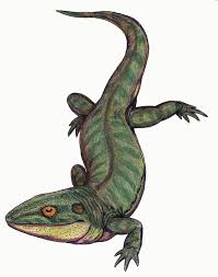 Attēlu rezultāti vaicājumam “Laccognathus panderi”