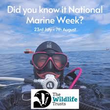 Image result for Bsac London No1 Branch