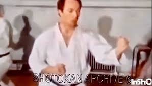 Image result for Henley Shotokan Karate Club