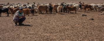 Image result for Nomads