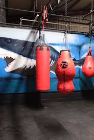 Image result for Pembroke & Pembroke Dock Amateur Boxing Club