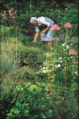 Image result for Mien Ruys