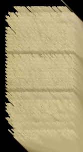 Attēlu rezultāti vaicājumam “Licea castanea sessile”