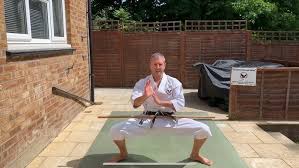 Image result for Kenshukai Karate