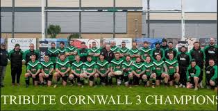 Image result for Hayle Rugby Football Club