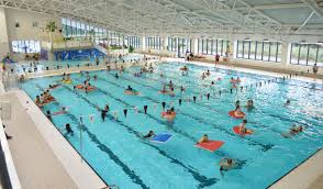Image result for Perry Beeches Sutton Swim Squad