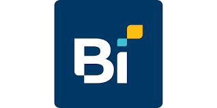 Image result for bi