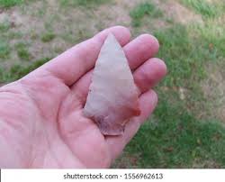 Image result for SEM micrographs of Novaculite Arkansas