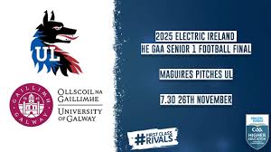 Image result for University Of Limerick Gaa Hurling Club