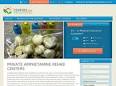 Amphetamine Rehab Centers