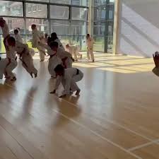 Image result for Hale Barns Dojo