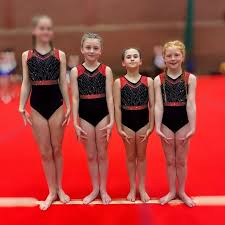 Image result for Tamworth Olympic Gymnastics Club