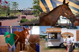 Image result for Cliff Hatch Stables