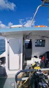 Image result for Chelsea & Fulham Sub-Aqua Club