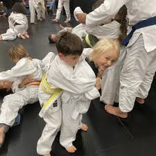 Image result for Hillsborough Judo Club