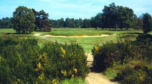 Image result for Walton Heath Golf Club