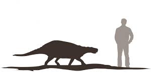 Image result for MINMI