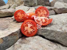 Afbeeldingsresultaat voor bloody butcher tomato