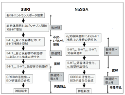 Image result for うつ病 亜型分類