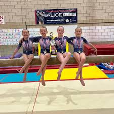 Image result for Park Wrekin Gymnastics Club