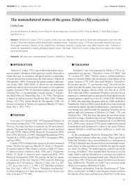 Attēlu rezultāti vaicājumam “Tubifera applanata”