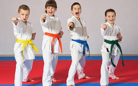Image result for Thames Valley Karate