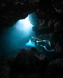 Image result for Deep and Wide Diving