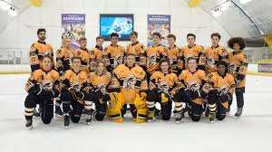 Image result for Romford Junior Ice Hockey Club