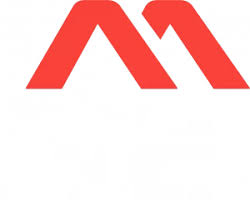 Image result for Tyneside Loipers