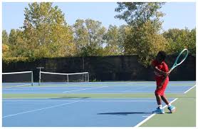 Image result for BrownMoor Park Tennis & Social Club