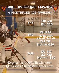 Image result for Wallingford Hockey Club