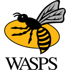 Image result for Wasps Football Club