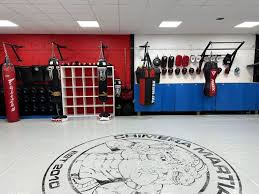 Image result for Clubb Chimera Martial Arts