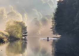 Image result for Lambton Rowing Club