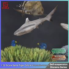 Image result for Carcharias taurus