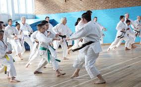 Image result for Harpenden JKA Karate Club