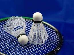Image result for Alpha Badminton Club