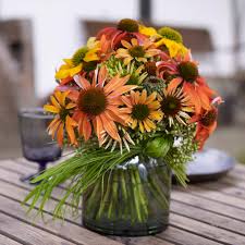 Image result for Sonnenhut