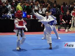 Image result for Turners Tae Kwon Do