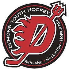 Image result for Demons Skater Hockey Club
