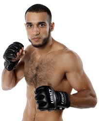 Image result for Wolverine MMA