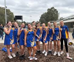 Image result for Waverley Netball Club